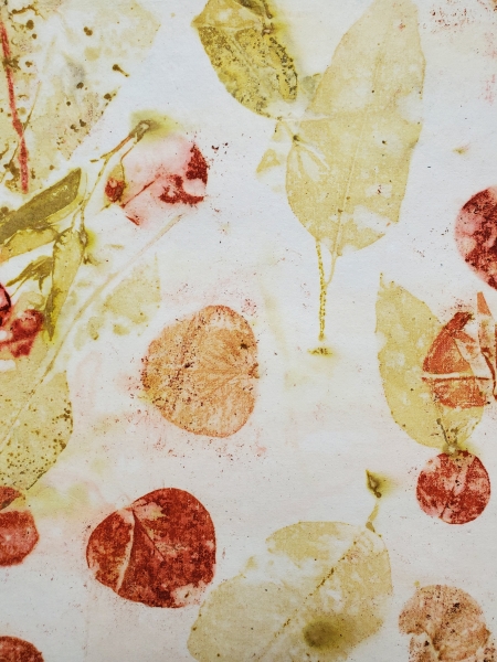 Cotton Rag Eco Print Papers