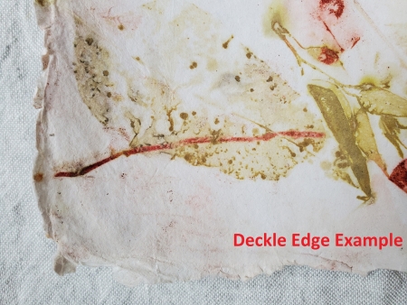 Cotton Rag Botanical Papers - Image 6