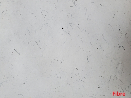 Cotton Rag Botanical Papers - Image 4